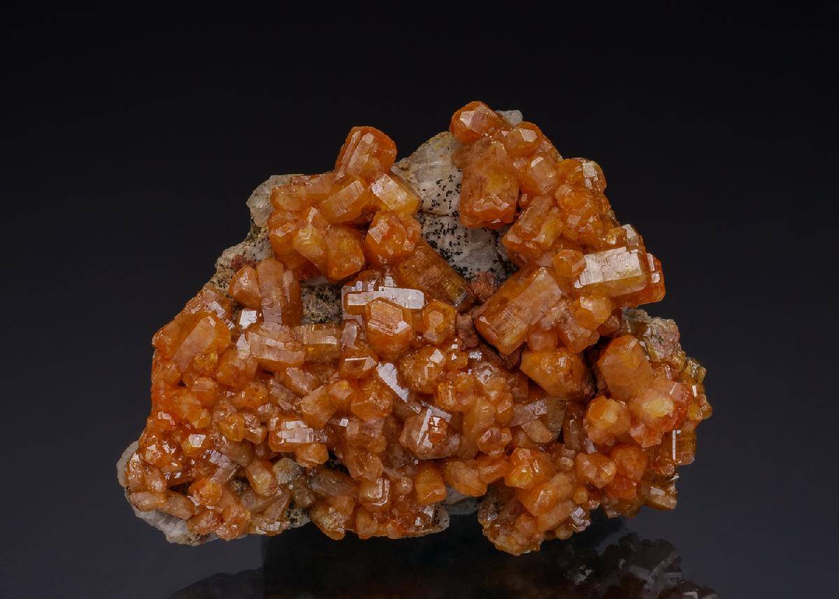 CC49978 specimen image