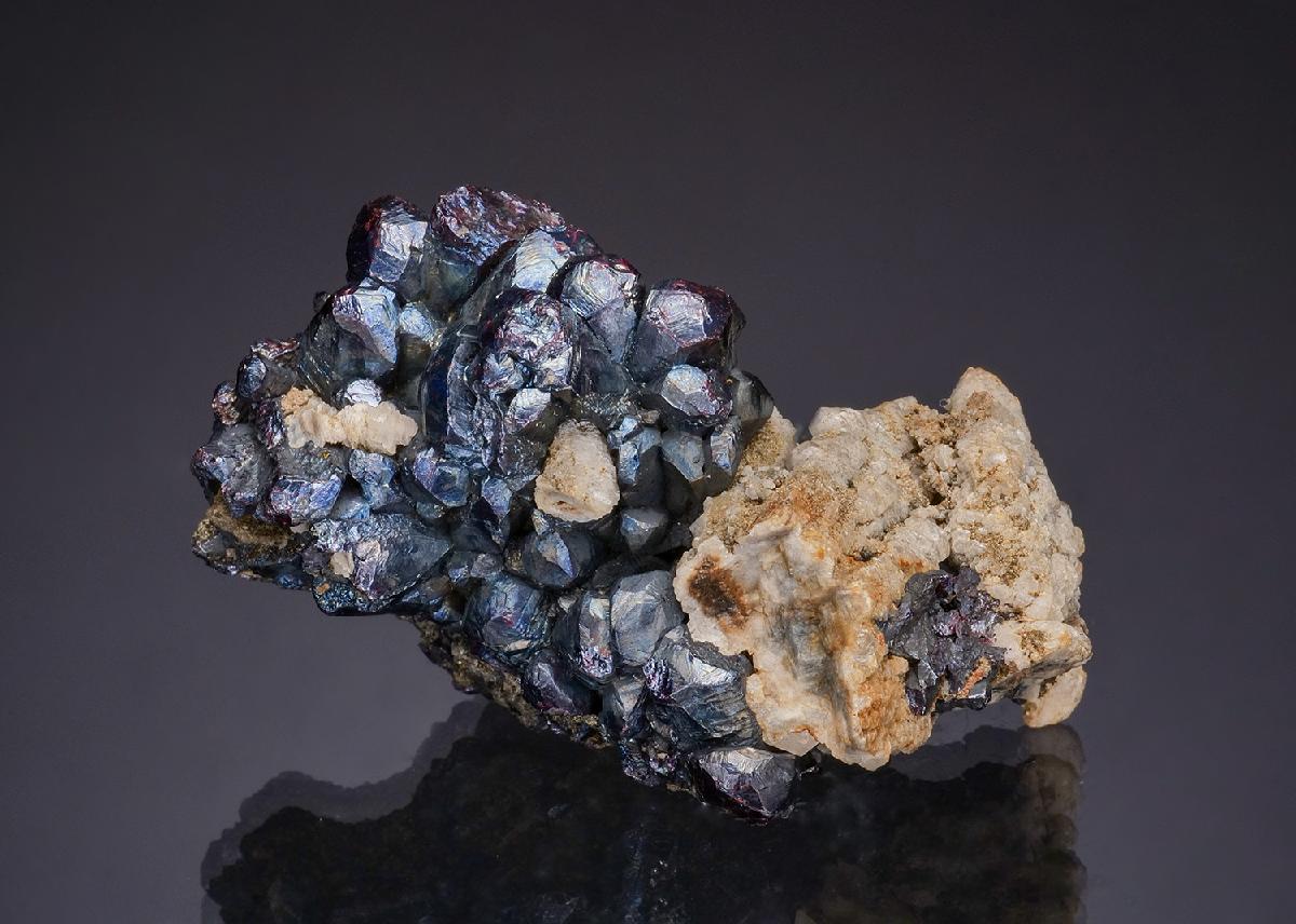 CC49982 specimen image