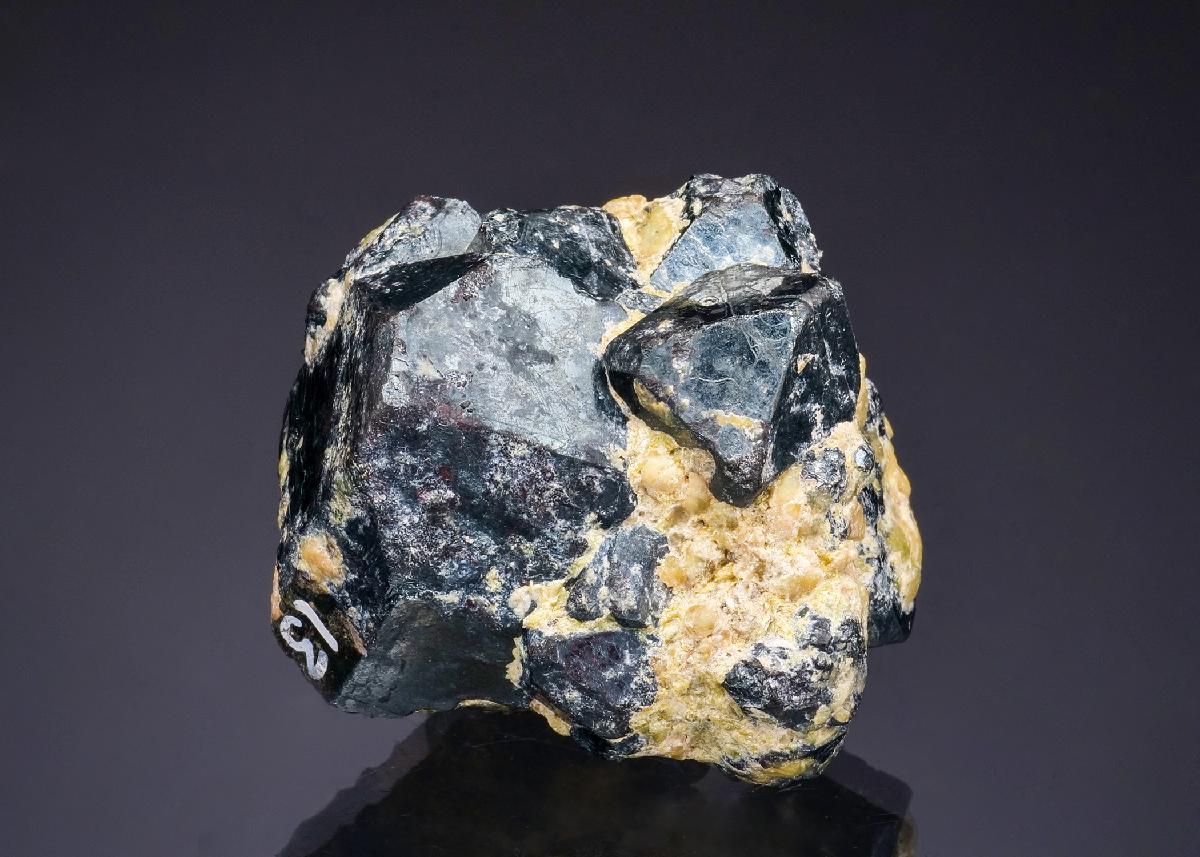 CC50006 specimen image