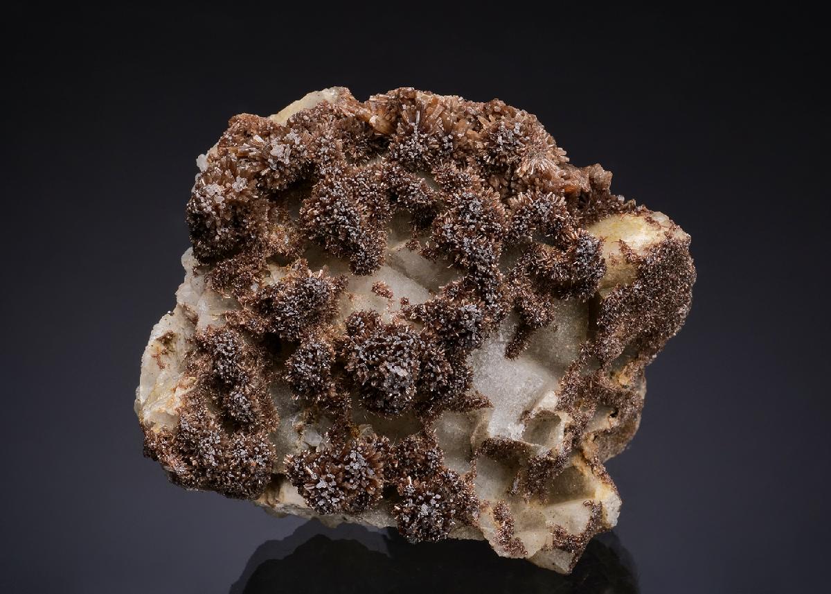 CC50014 specimen image