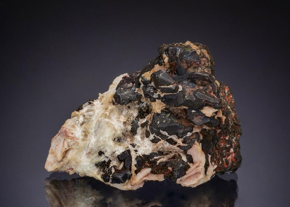 CC50016 specimen image