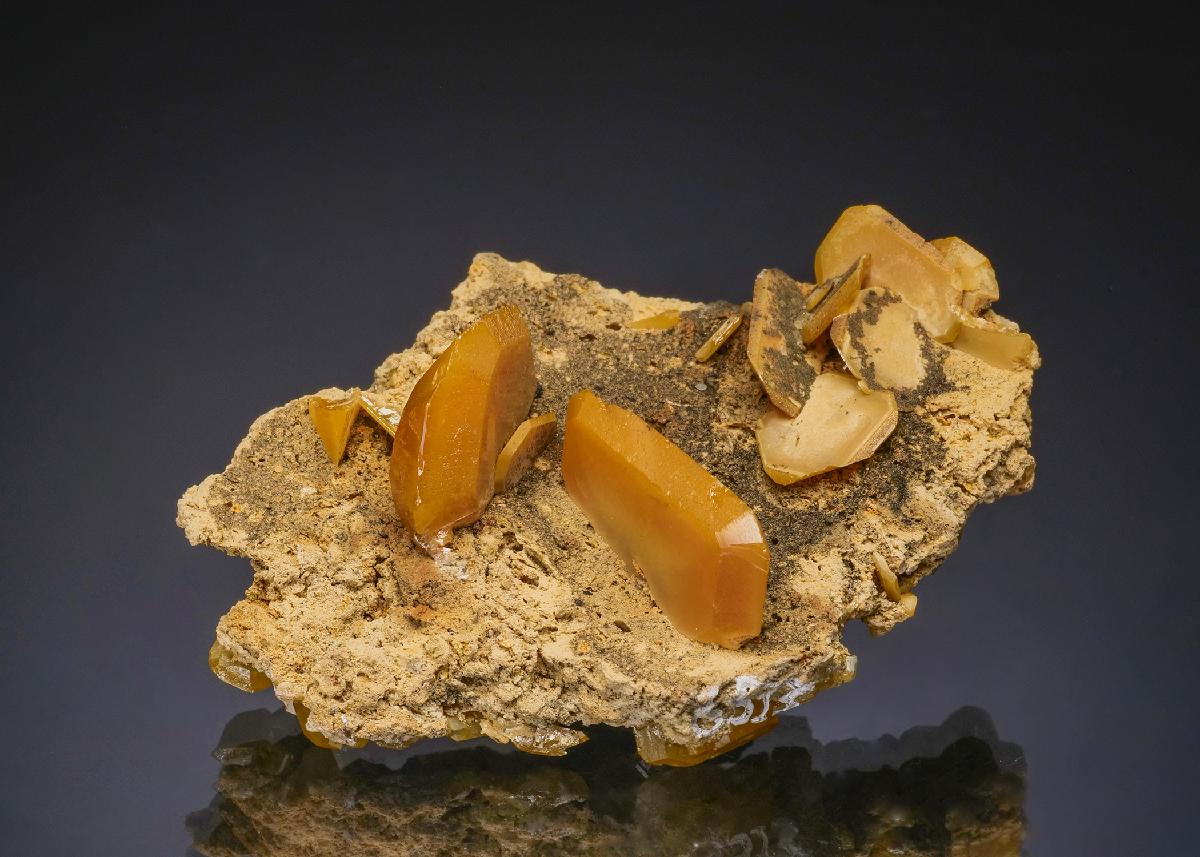 CC50028 specimen image