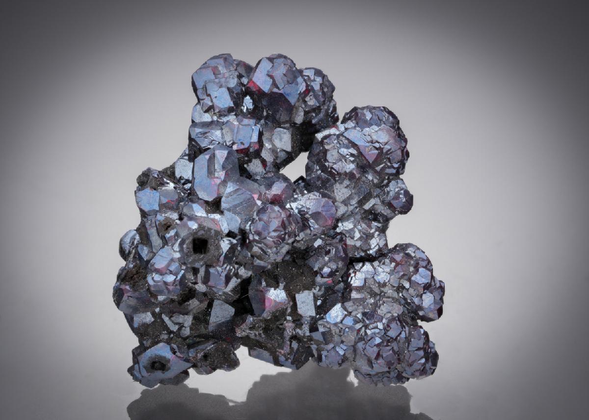 CC5004 specimen image