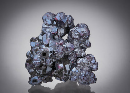 CC5004 specimen image
