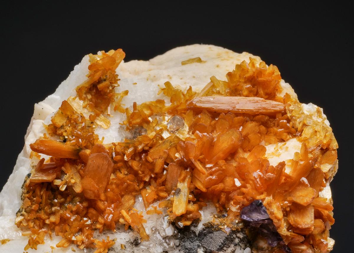 CC50042 specimen image