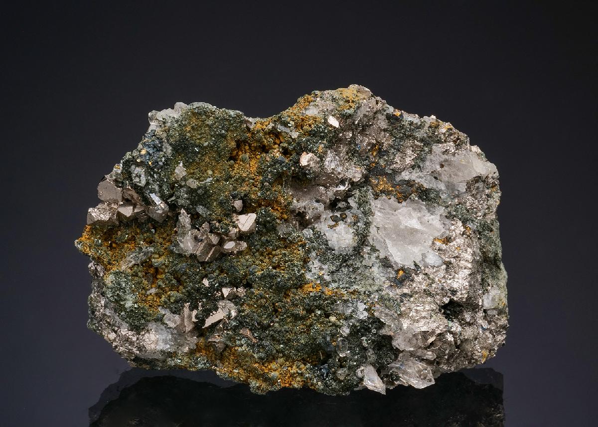CC50072 specimen image