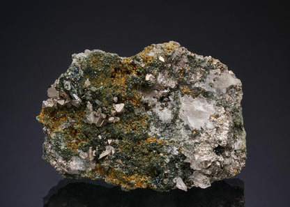 CC50072 specimen image