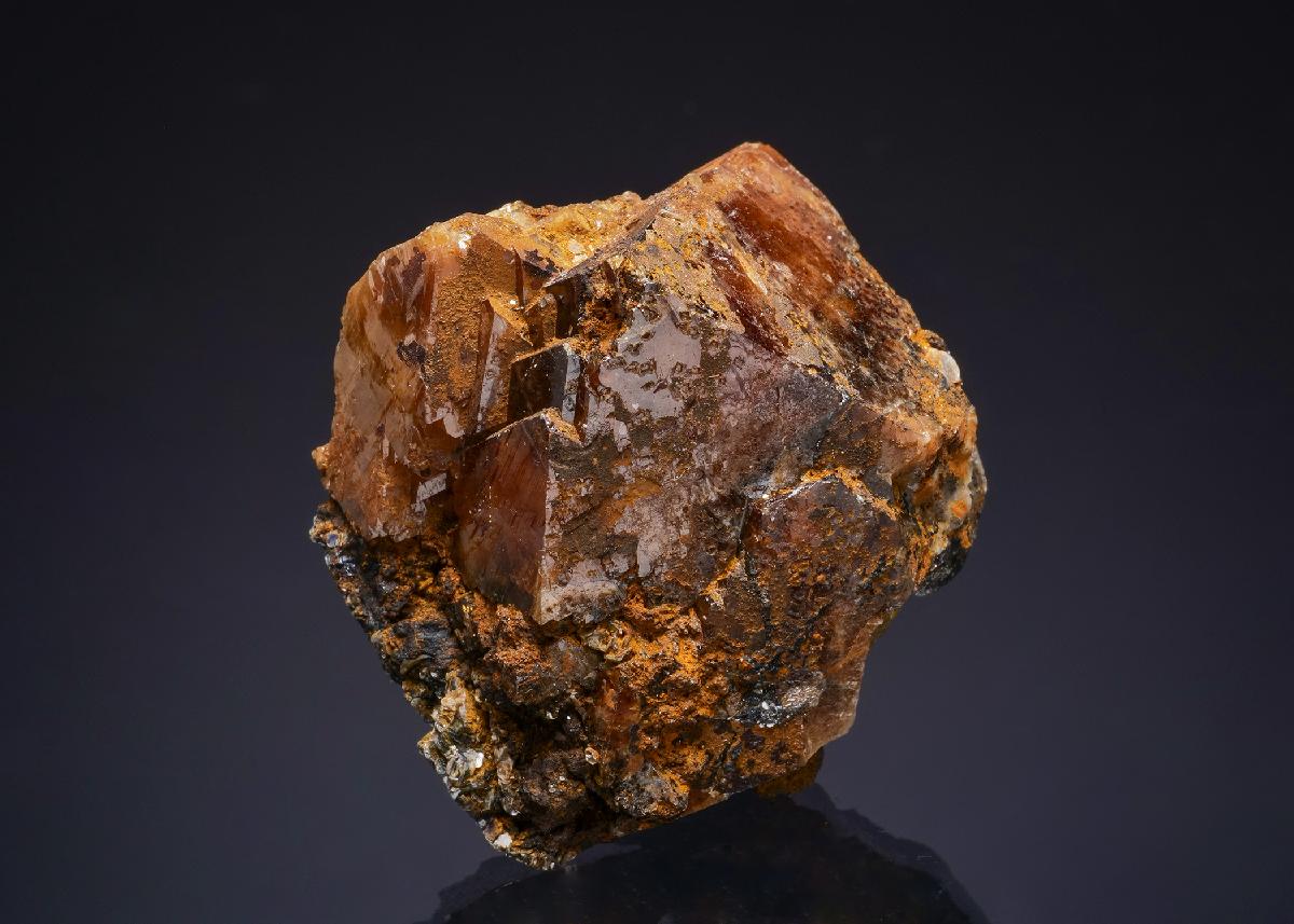 CC50076 specimen image