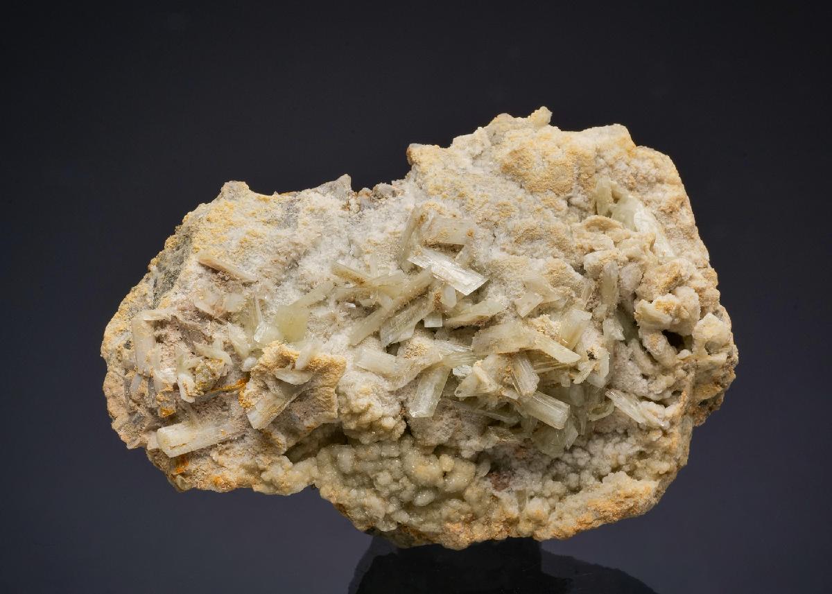 CC50090 specimen image