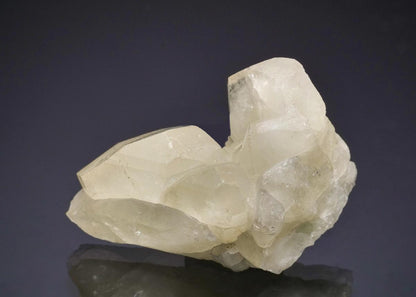 CC50092 specimen image
