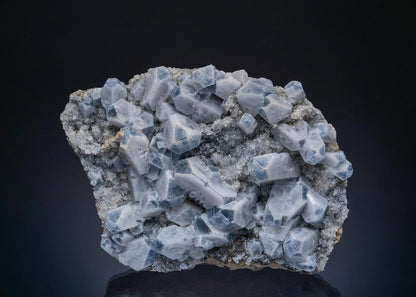 CC50132 specimen image