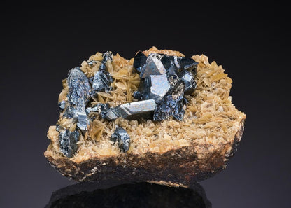 CC50138 specimen image