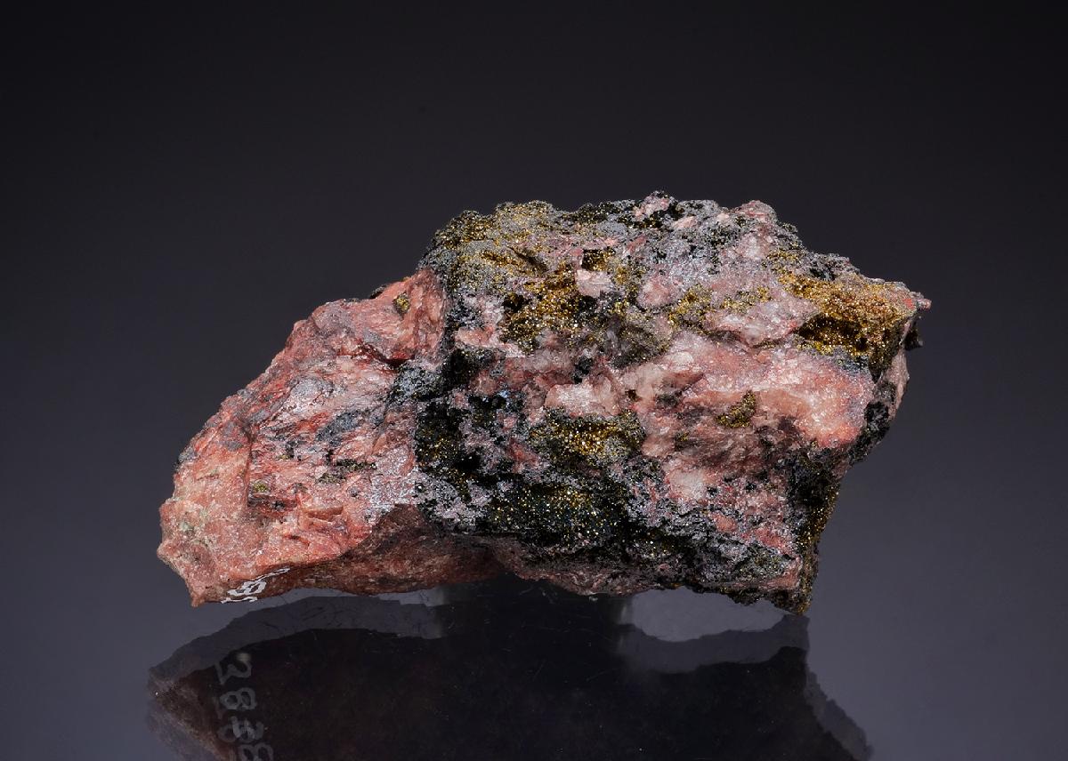 CC50144 specimen image