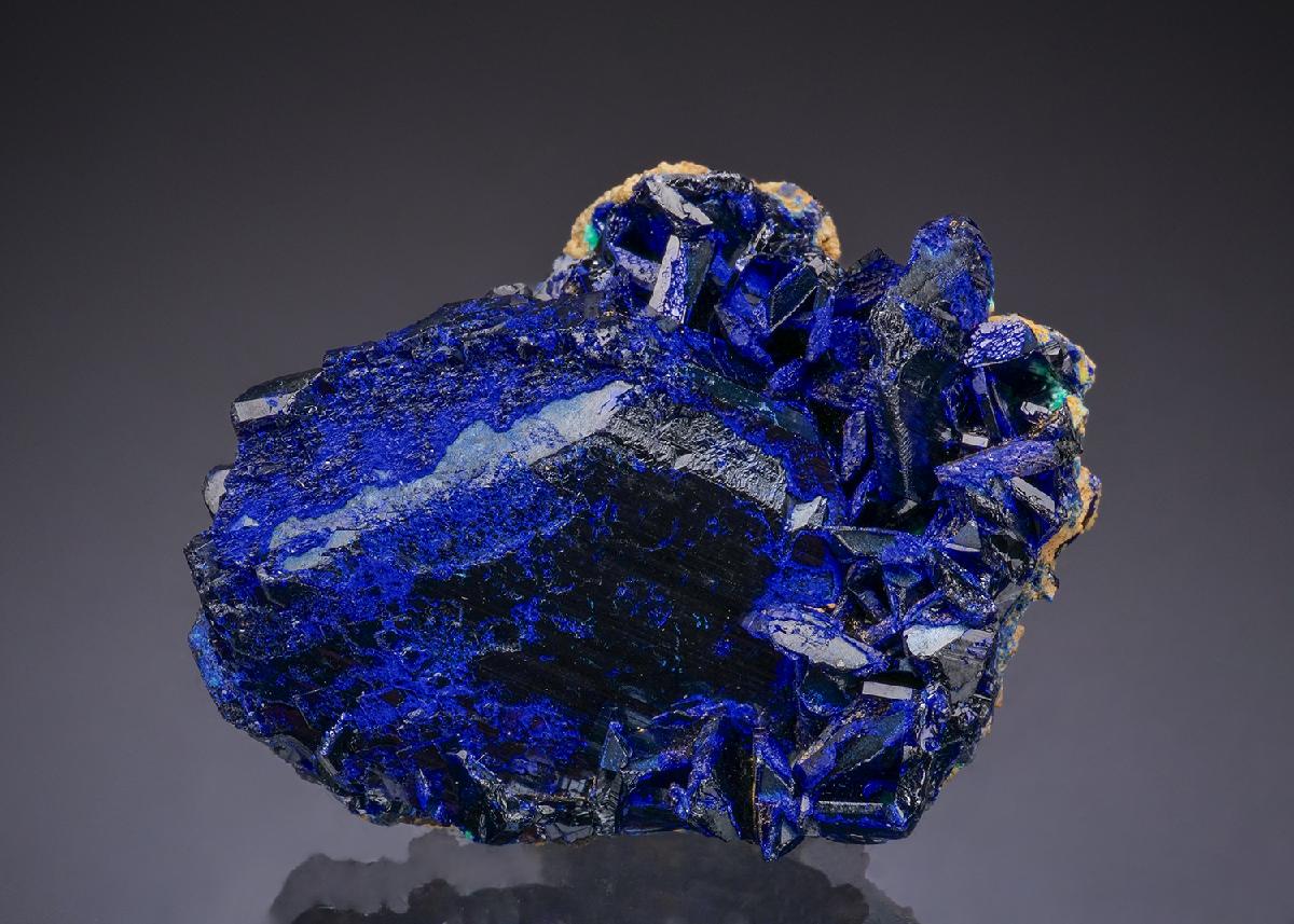 CC50152 specimen image