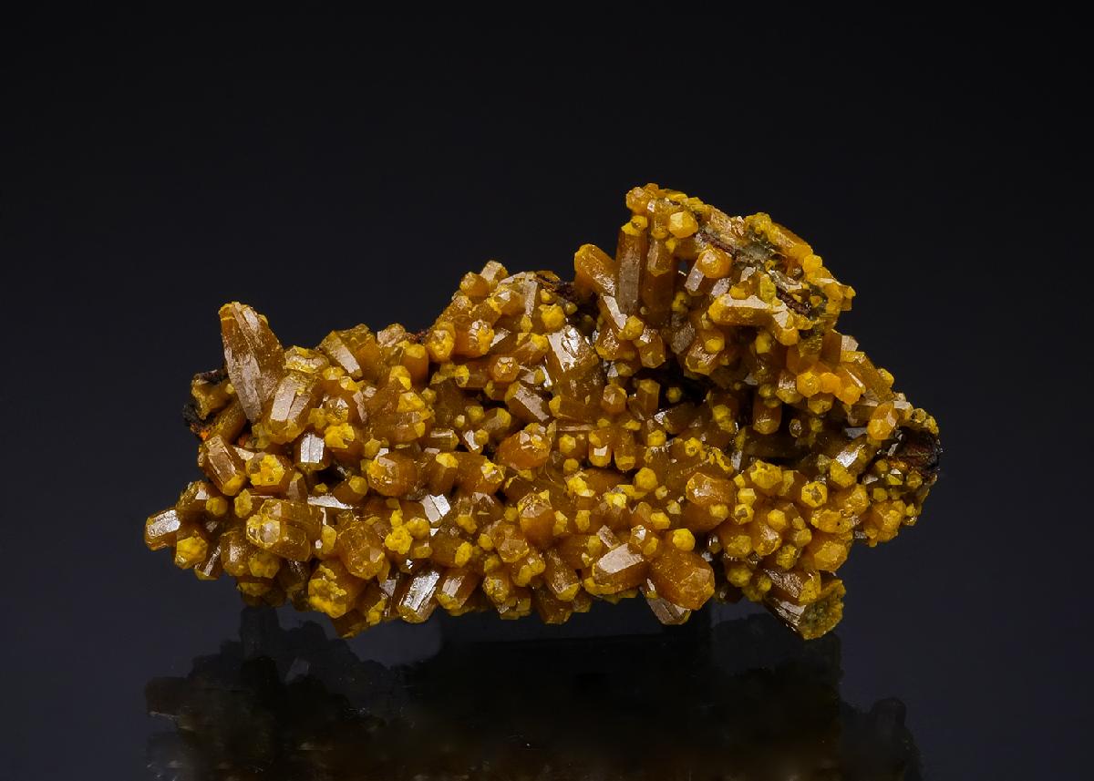 CC50156 specimen image