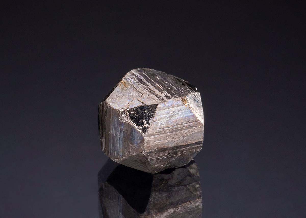 CC50158 specimen image