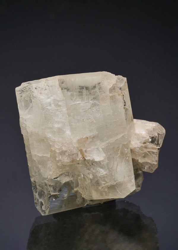 CC50168 specimen image