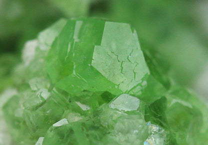 CC5018 specimen image