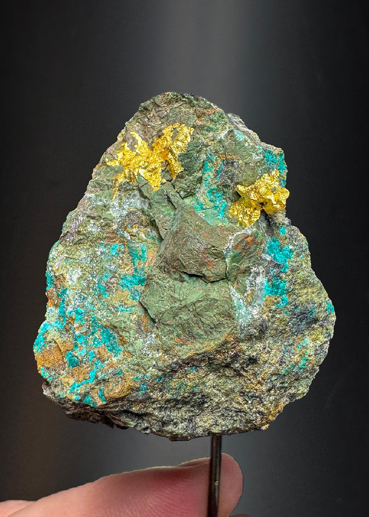 CC50240 specimen image