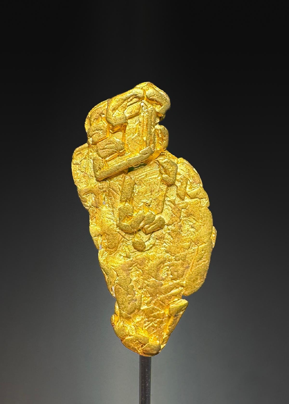 CC50326 specimen image