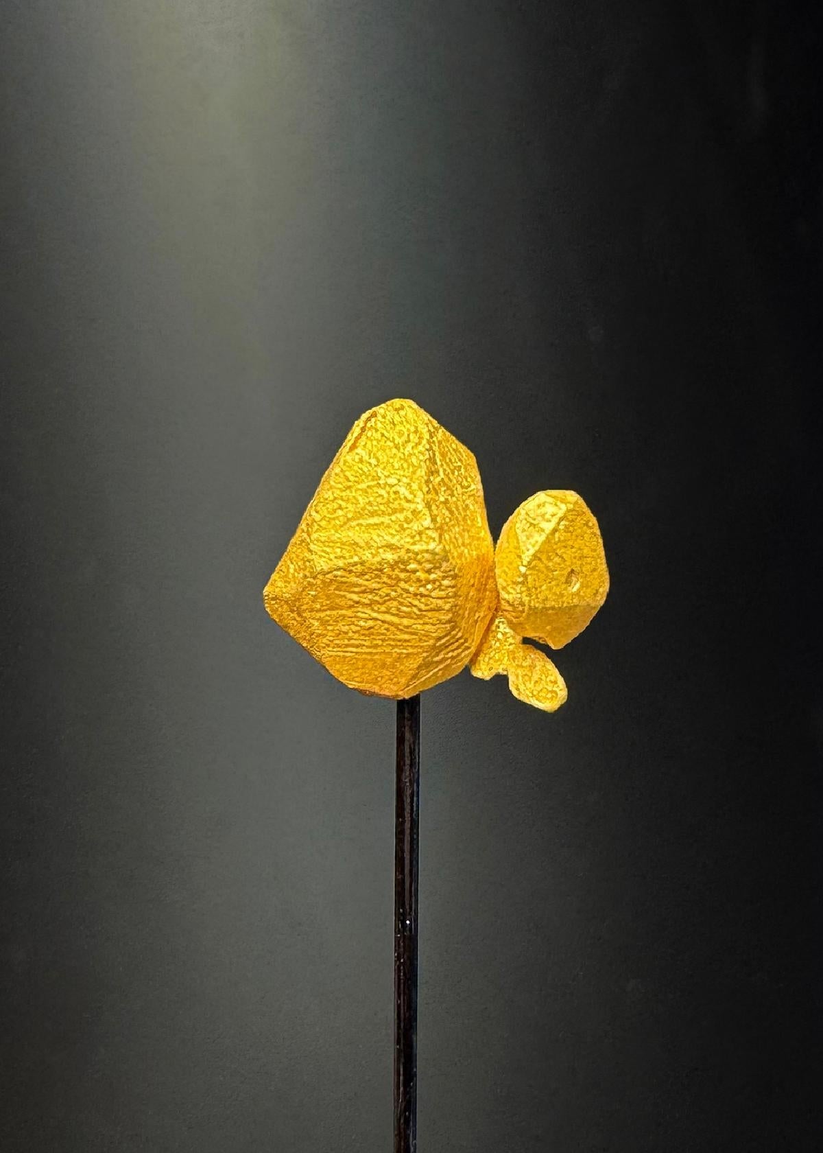 CC50418 specimen image