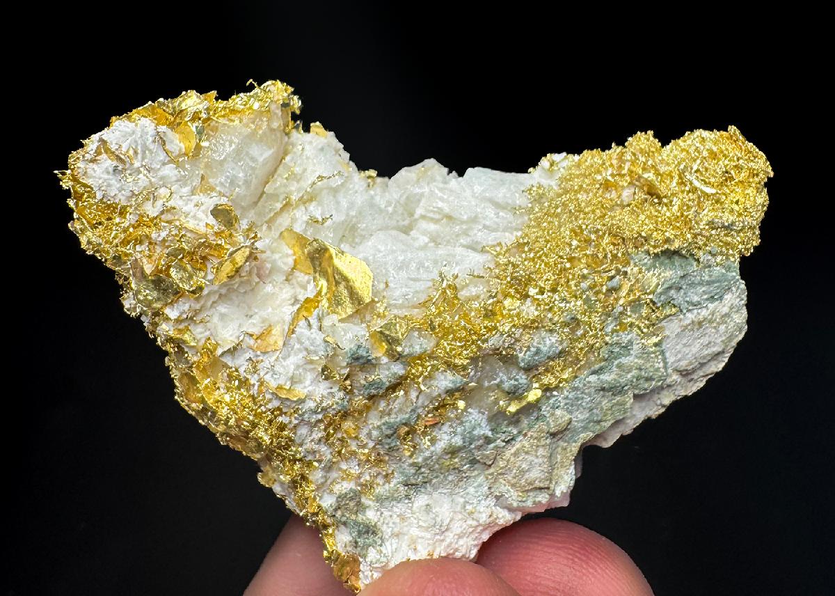 CC50430 specimen image