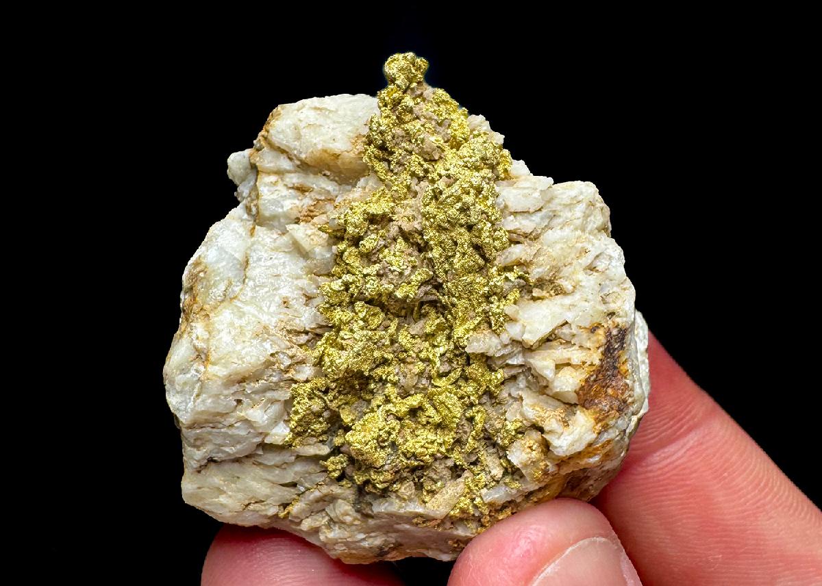 CC50498 specimen image
