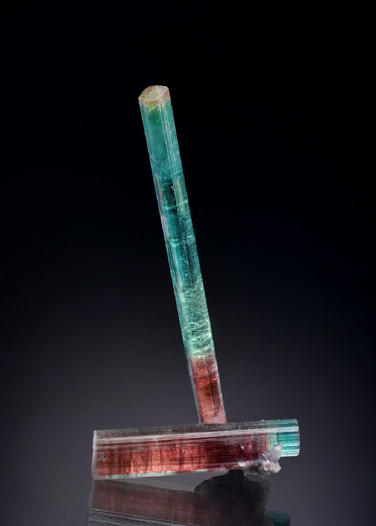 CC50540 specimen image