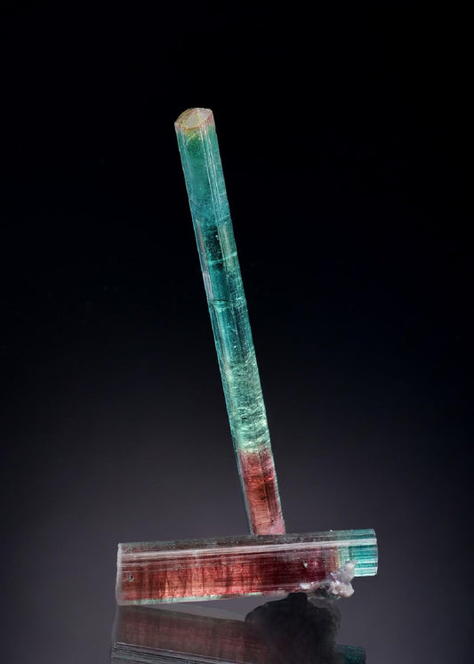 CC50540 specimen image
