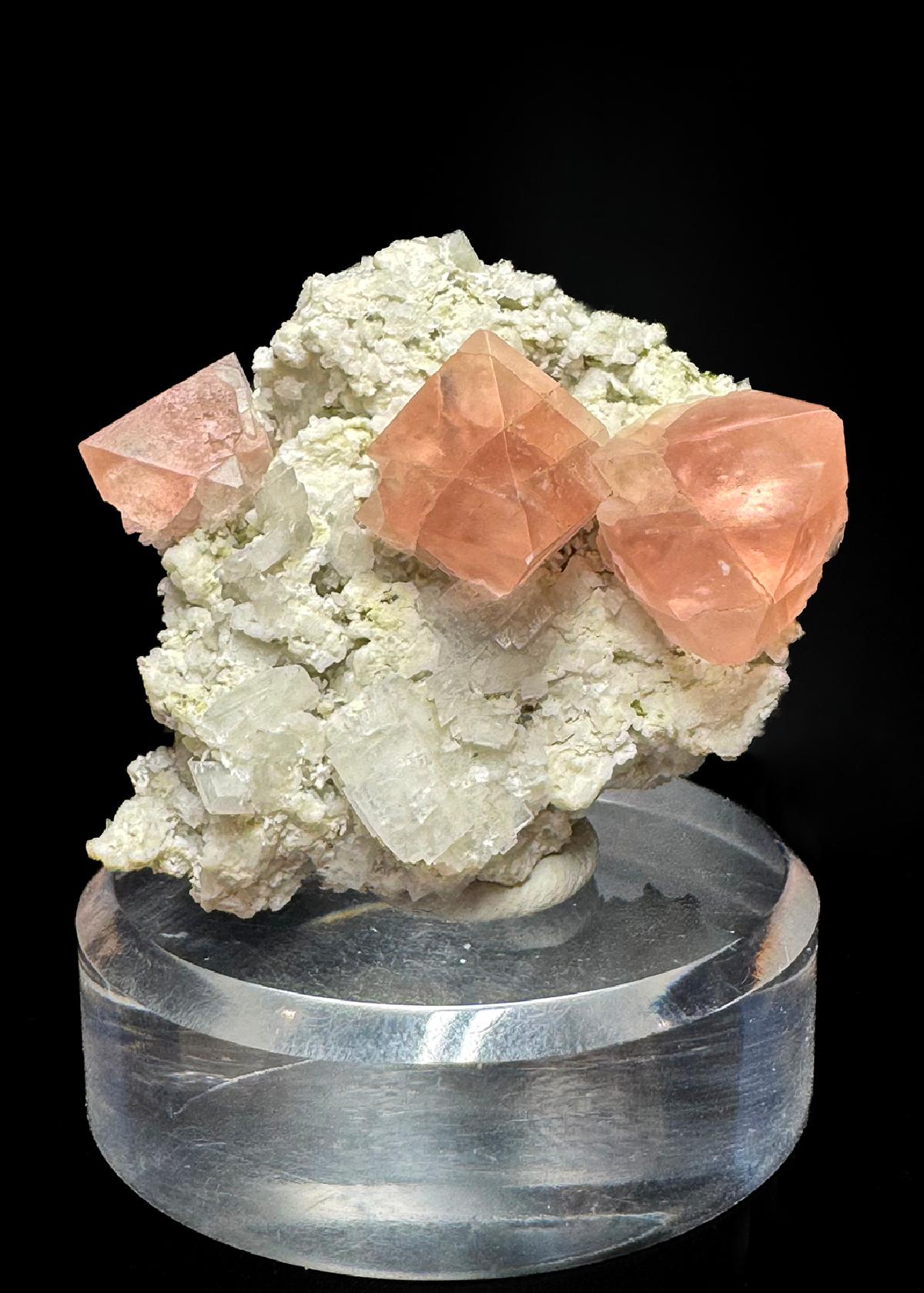 CC50600 specimen image