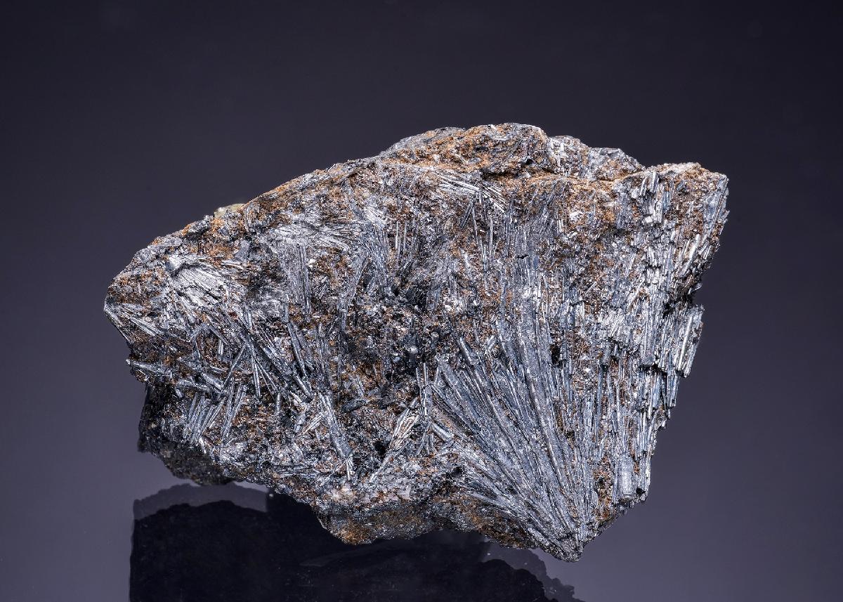 CC50606 specimen image