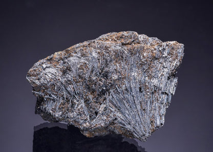 CC50606 specimen image