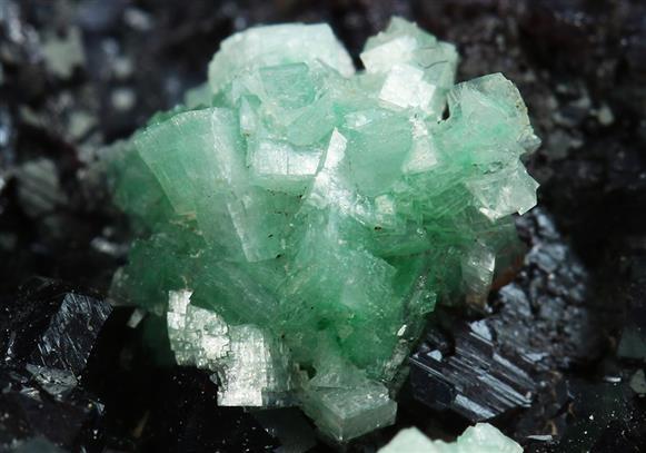 CC5071 specimen image