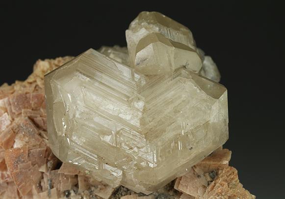 CC5074 specimen image