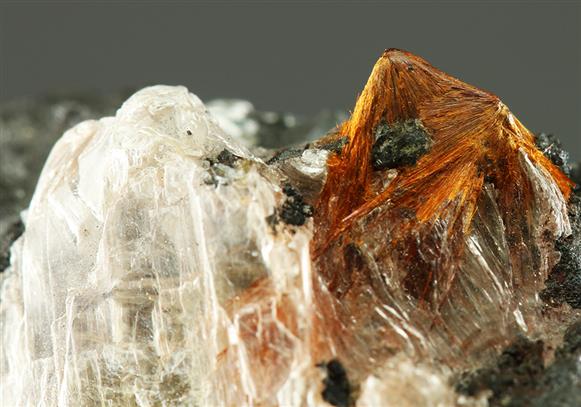 CC5075 specimen image