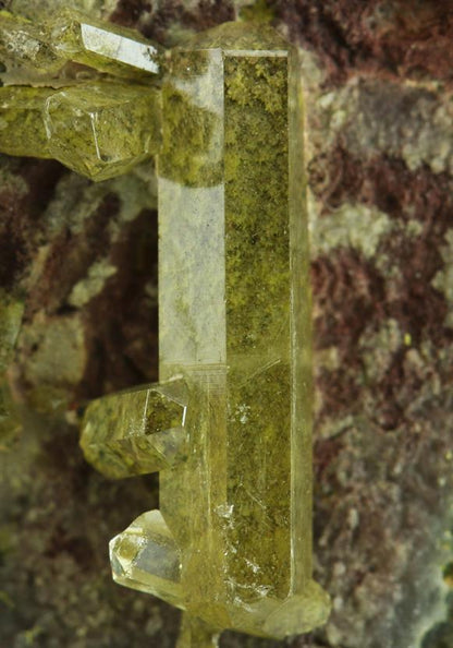 CC5077 specimen image
