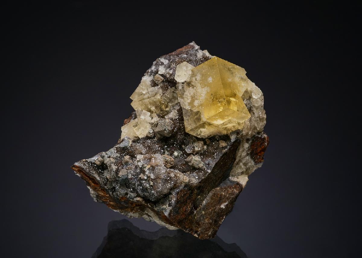 CC50820 specimen image