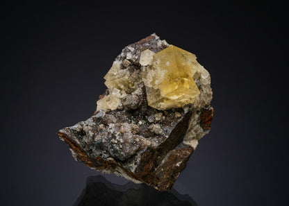 CC50820 specimen image