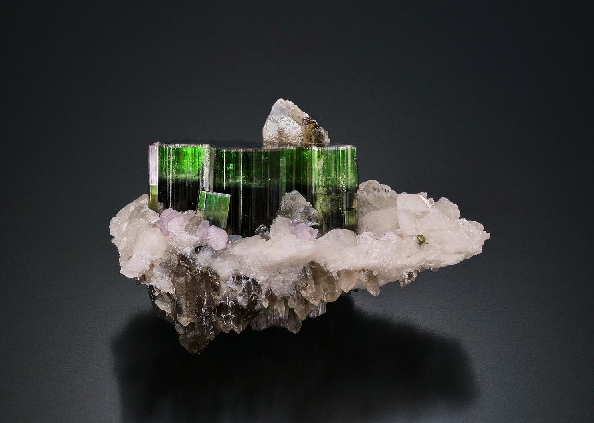 CC50832 specimen image