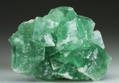 CC5087 specimen image