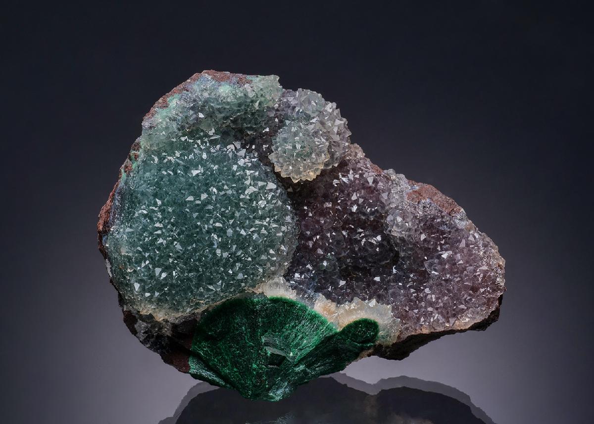 CC50890 specimen image