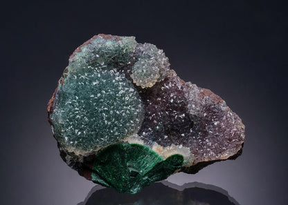 CC50890 specimen image