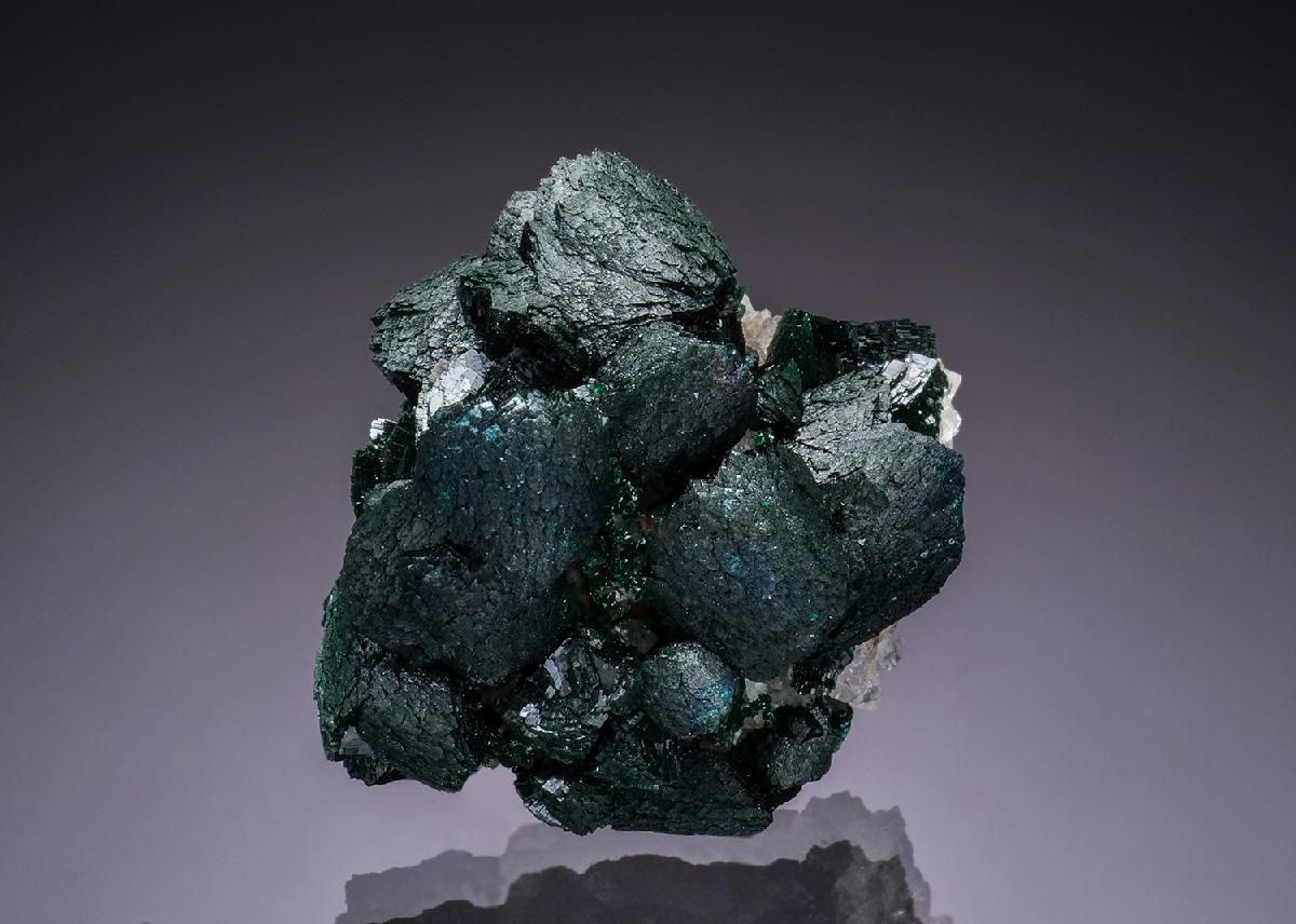 CC50898 specimen image
