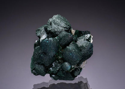 CC50898 specimen image