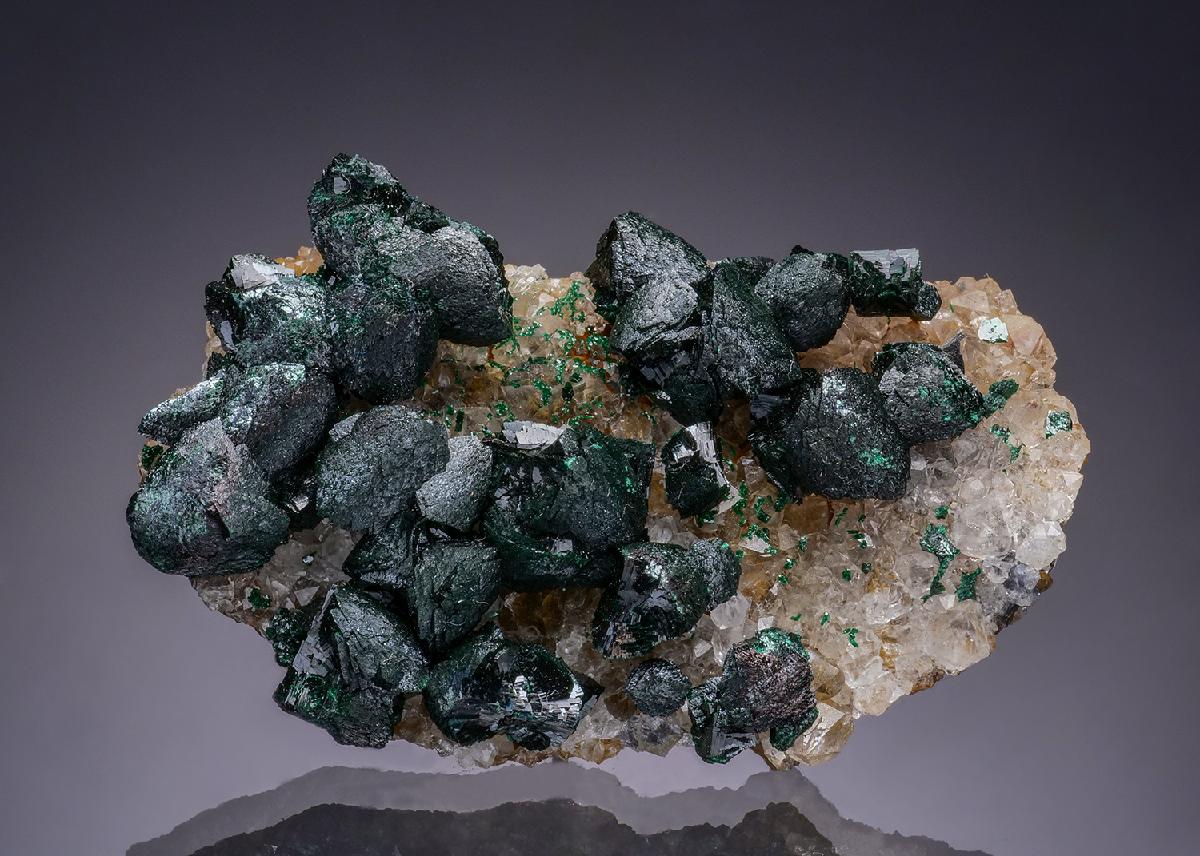 CC50902 specimen image