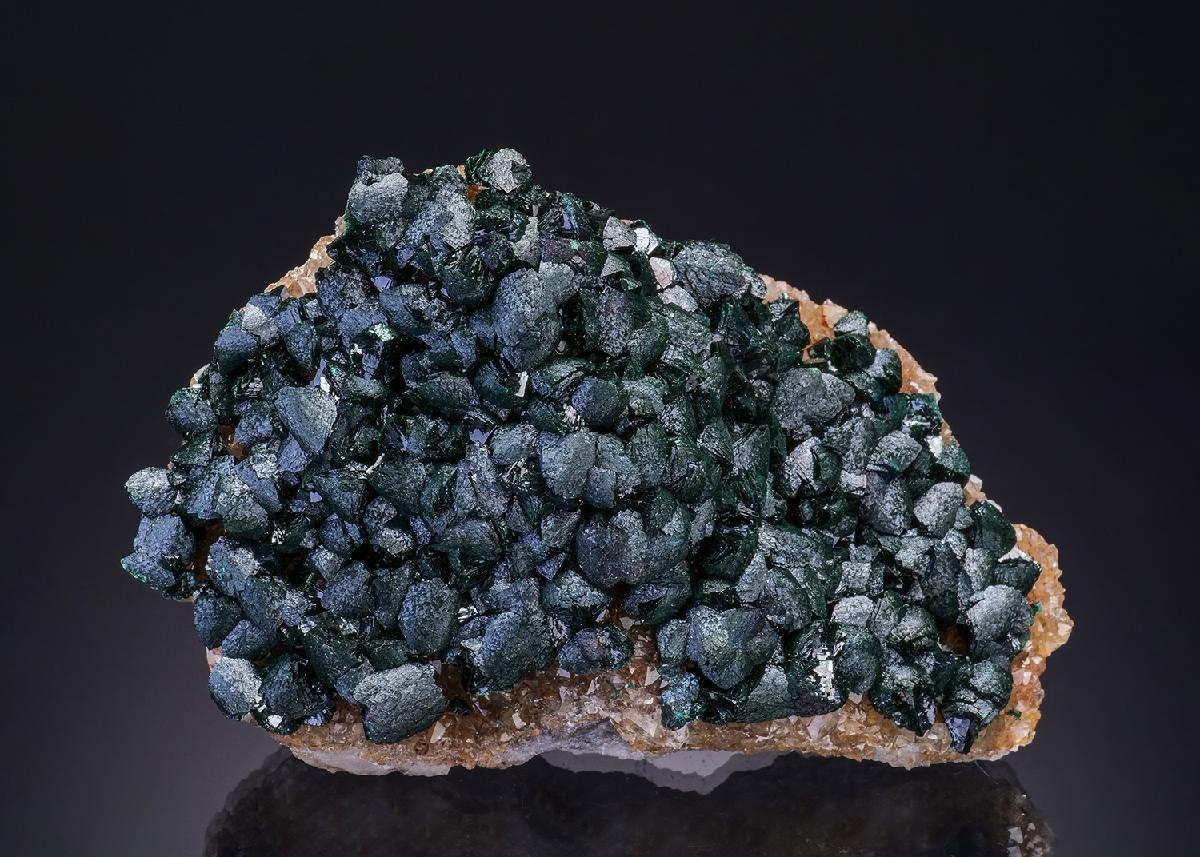 CC50920 specimen image