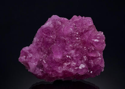 CC50924 specimen image