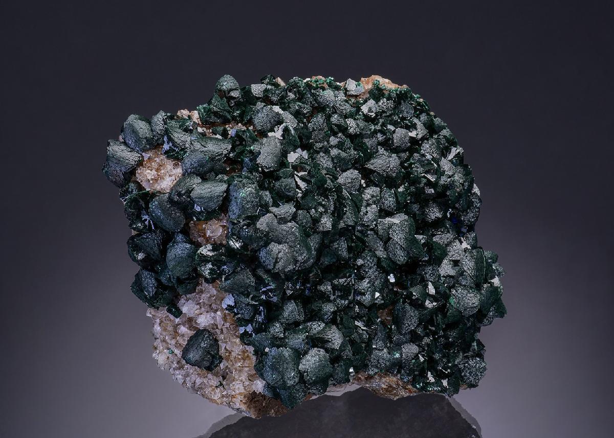 CC50930 specimen image