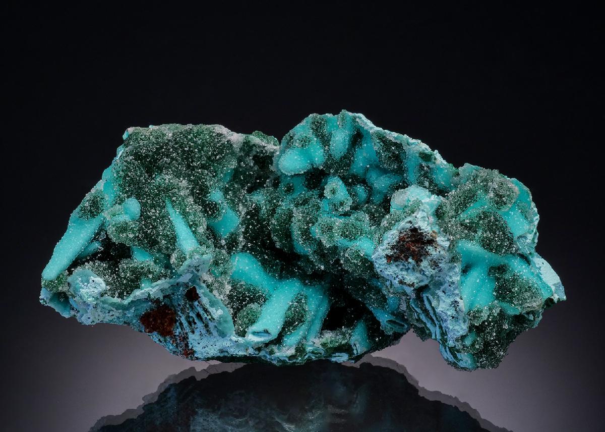 CC50932 specimen image