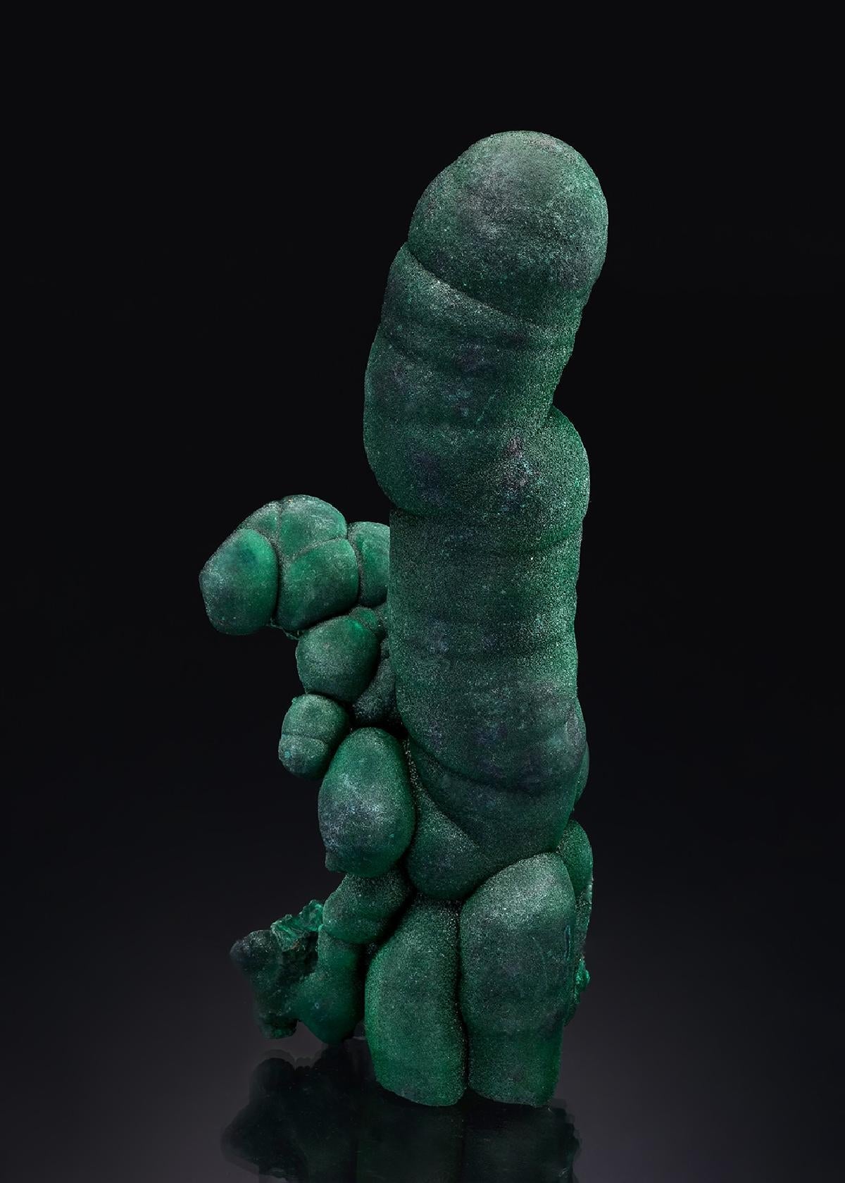 CC50948 specimen image